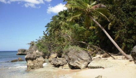 Playa Grande Beach Dominican Republic