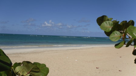 Playa Grande Dominican Republic