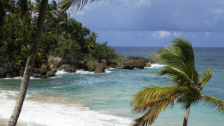 Beach Dominican Republic