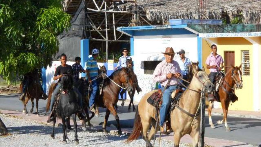 Horses in Cabrera