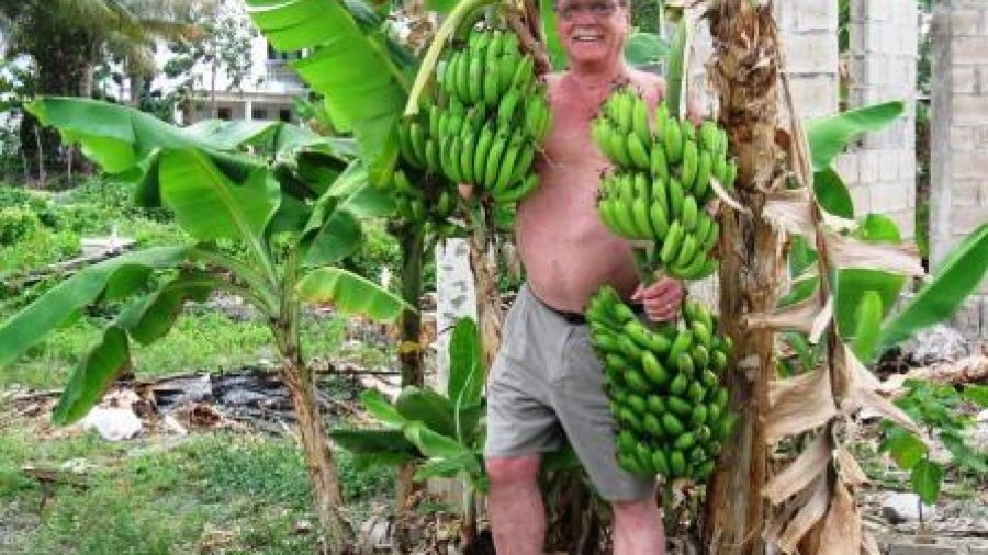 Larry with bananas